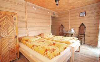 Отели типа «постель и завтрак» Willa Grota Zbójnicka Гличарув Бюджетный двухместный номер с 2 отдельными кроватями-4